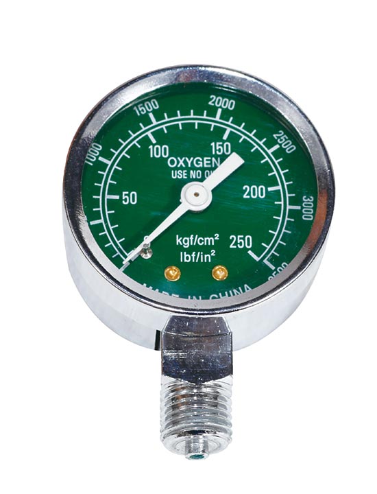 Y50-022-> 氧气压力表